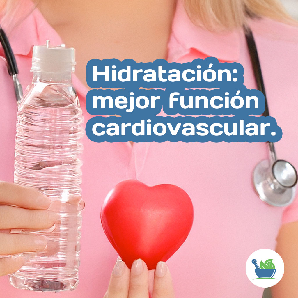 Hidratación: mejor funcióncar diovascular.