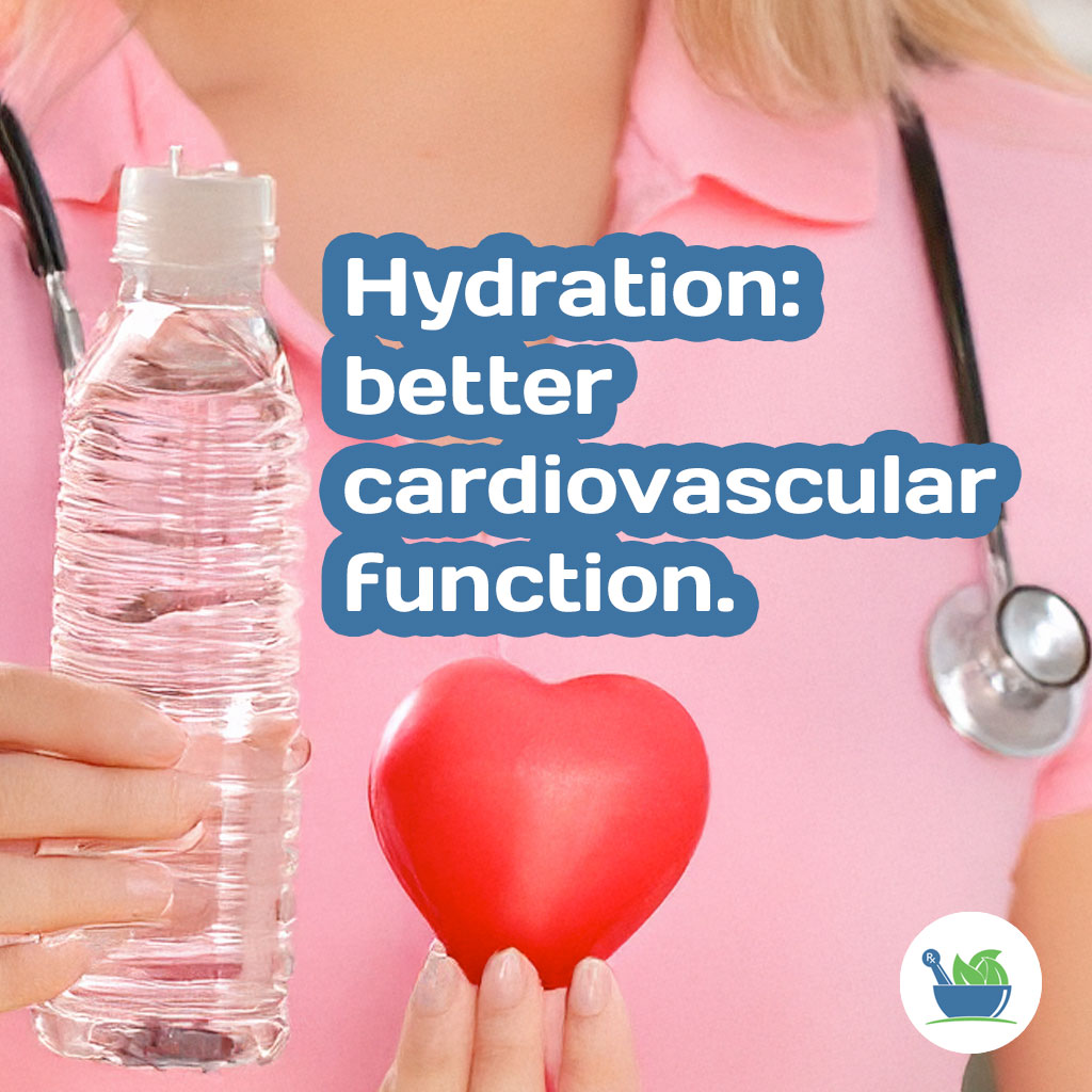 Hydration better cardiovascular function.